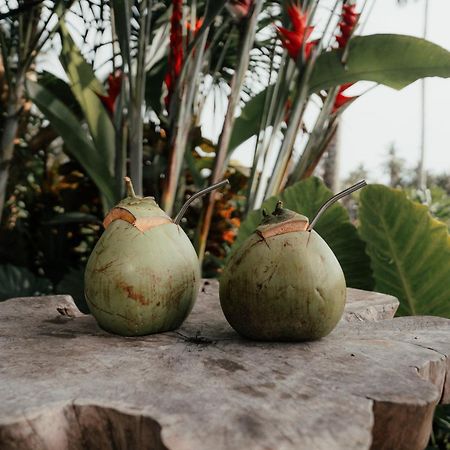 Desa Cabins Balian Esterno foto