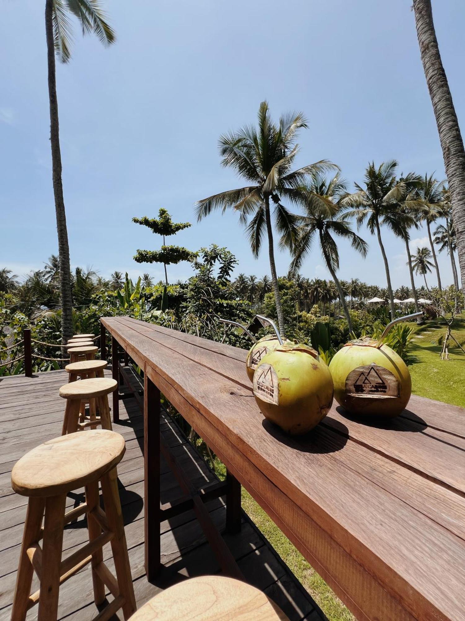 Desa Cabins Balian Esterno foto