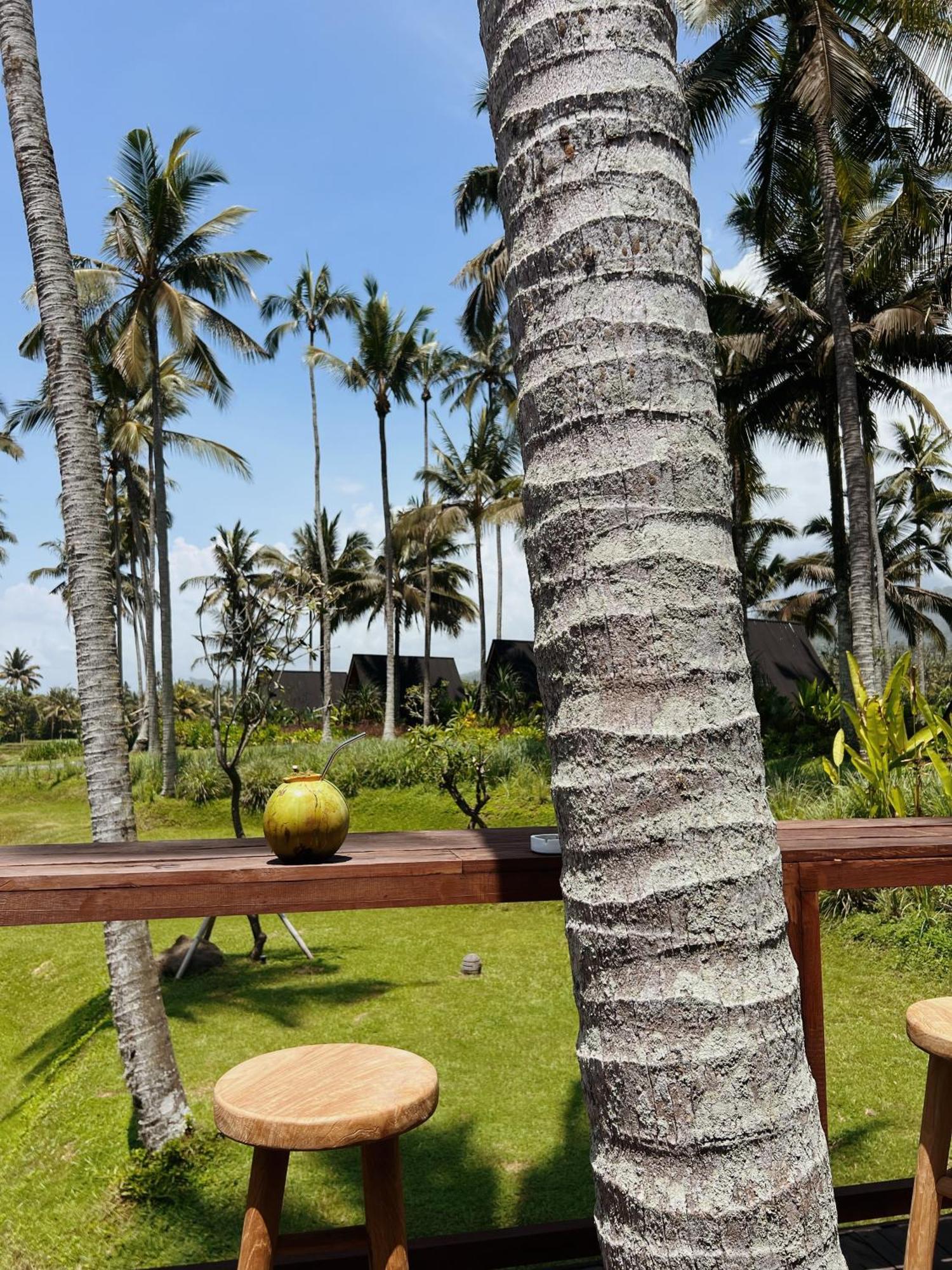 Desa Cabins Balian Esterno foto